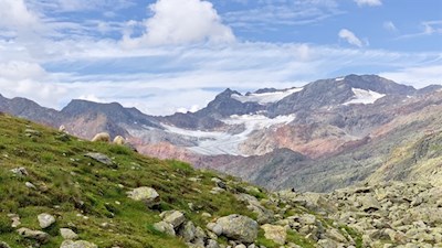 Weidende Schafe vor der imposanten Kulisse des Übeltalferners