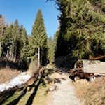 Im sanften Anstieg durch den Wald