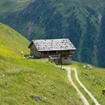 Weißbachalm am Almweg 2000