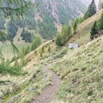 Anstieg in Richtung Gampielalm