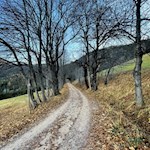 Herbstwanderung nach Maria Weißenstein