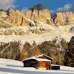 Rosengarten im Winter