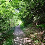 Der Rückweg von der Spilucker Platte erfolgt auf dem Hinweg