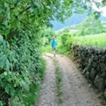 An Trockenmauern, saftigen Wiesen und lichten Wäldern vorbei nach Neustift