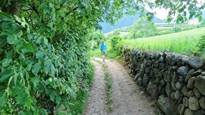 An Trockenmauern, saftigen Wiesen und lichten Wäldern vorbei nach Neustift