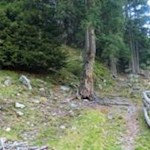 Weg zu den Schrüttenseen