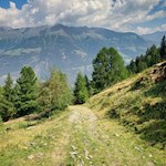 Almwiesen unterhalb der Latscher Alm