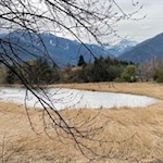 Am lauschigen Raier Moos