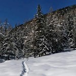 Fußspuren im Pulverschnee