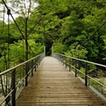 Andreas-Hofer-Brücke