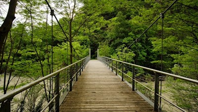Andreas-Hofer-Brücke
