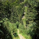 La salita verso i Laghi Gelati e constante e faticosa, però la via più breve