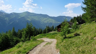 Auf dem Weg zur Hühnerspielhütte