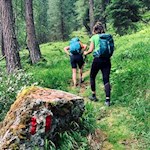 Auf dem Weg Nr. 2 hinab nach Mühlwald