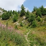 Bei der Walderjochalm zweigt der Steig Nr. 16B zur Wieserhütte ab