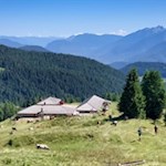 Hinter der Malga di Cloz führt der Steig Nr. 7 auf den Kornigl