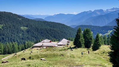 Hinter der Malga di Cloz führt der Steig Nr. 7 auf den Kornigl