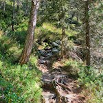 I sentieri per i Laghi Gelati a volte sono un po'impervi