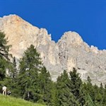 Über uns erhebt sich die Rotwand 