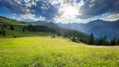 Der Ratschinger Almenweg öffnet verträumte Ausblicke