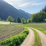 Durch Wiesen und Felder nach Elzenbaum