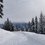 Durch den winterlich ummantelten Wald nach Meransen