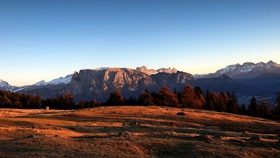 Die im Sonnenuntergang glühenden Rittner Almwiesen mit dem Schlern im Hintergrund