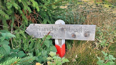 Der Weg zur Rinderplatzhütte ist gut ausgeschildert