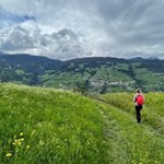 Durch aussichtsreiche Wiesen um Lajen