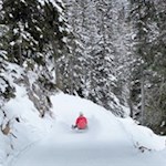 Rodeln von der Glatschalm nach Ranui