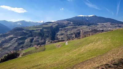 Durch Wiesen und Felder zum Ansitz Fonteklaus