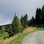 Auf zunächst breiten Wegen in Richtung Radlseehütte