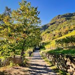 Herbstwanderung zum Patscheider Hof