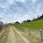 Der letzte Anstieg nach Maria Saalen