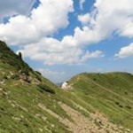 Von der Totenkapelle führt der Weg 2A in Richtung Totensee