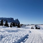 Vor der Kulisse des Schlern zurück nach Kompatsch