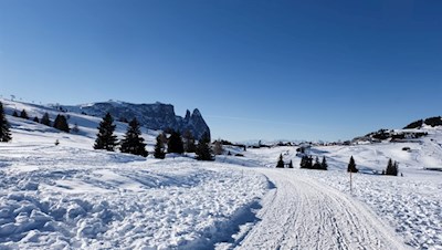 Vor der Kulisse des Schlern zurück nach Kompatsch