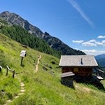 Über malerische Bergwiesenhänge zur Tschiffernaun Alm