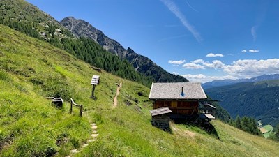 Über malerische Bergwiesenhänge zur Tschiffernaun Alm
