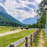 Durch Weidewiesen zum Wasserfall in Pfitsch