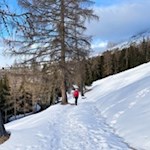 Winterwandern am Rosengarten