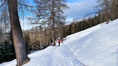 Winterwandern am Rosengarten