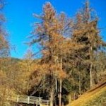 Auf dem Weg zu den Terner Mühlen