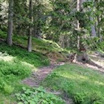 Im Schatten hoher Bäume zur Inneren Wumblsalm