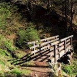 Auf dem Waalweg in Gais