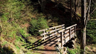 Auf dem Waalweg in Gais