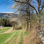 Vor uns erhebt sich der Königsanger