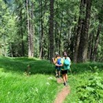 Abstieg durch den Wald zur Bergmeister Alm