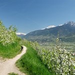 "Vom Eise befreit sind Strom und Bäche durch des Frühlings holden, belebenden Blick..." (Goethe; Faust I)