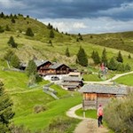 Die Arnikahütte ist in malerische Almwiesen gebettet